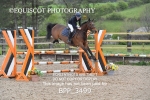 BPP_3499