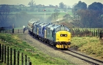 31st Mar 2007