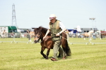 SBM_01846