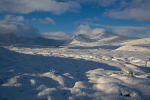 Black mount (2)