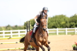 SBM_003647