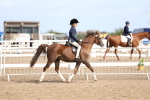 SBM_01949