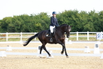SBM_008277