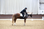 SBM_000211