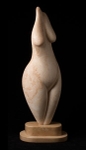 Torso