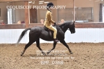BPP_0368