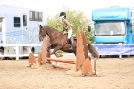 SBM_03584