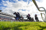 310526-Race 4-Brielle-3592