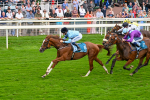 080925-Race 6-Rhapsody-7794