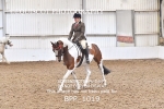 BPP_1019