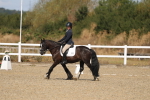 SBM_013528