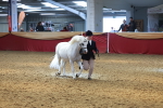 SBM_16640