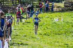 The Finish-564