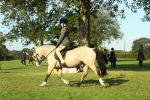 SBM_59158