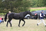 WJ6_6117
