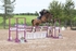 BPP_1668