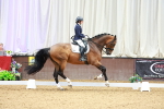 SBM_003775