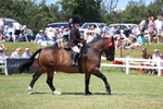 3E7A9507