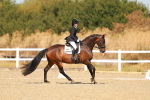 SBM_017671