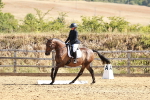 SBM_000719