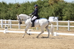 SBM_003334