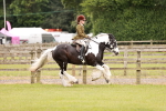 SBM_06215