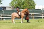 SBM_05196