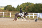 SBM_009334