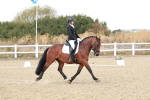 SBM_018219