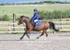 BPP_2667