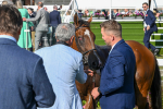 240824-Race 7-Sir Busker-2103