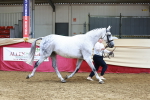 SBM_23176