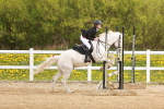 SBM_003764