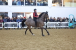 SBM_003379