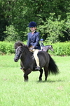 Class 11 Condition & Turnout portfolio