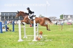 BPP_1033