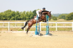 SBM_000668