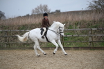 SBM_006084