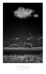 Kissimmee Prairie Preserve SP I
