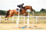 SBM_010421