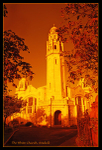 The White Church