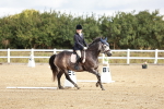 SBM_009884