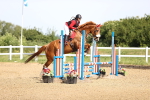 SBM_003584