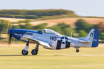 Mustang portfolio