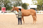 SBM_14642