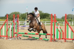 SBM_011235