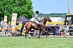 SBM_18127
