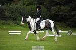 Saturday 26th - PC80 Dressage portfolio