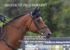 BPP_3035
