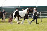 SBM_08755